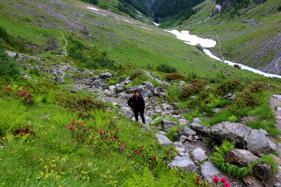 Photo of Swiss countryside: Trift Bridge by Lone Wolf