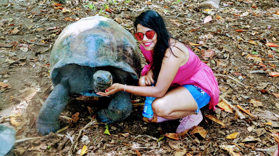 Photo of A Day In Curieuse Island #landoftortoises by Arpita Das