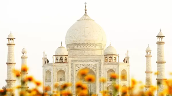 Photo of Agra, Uttar Pradesh, India by Rahul Tiwari