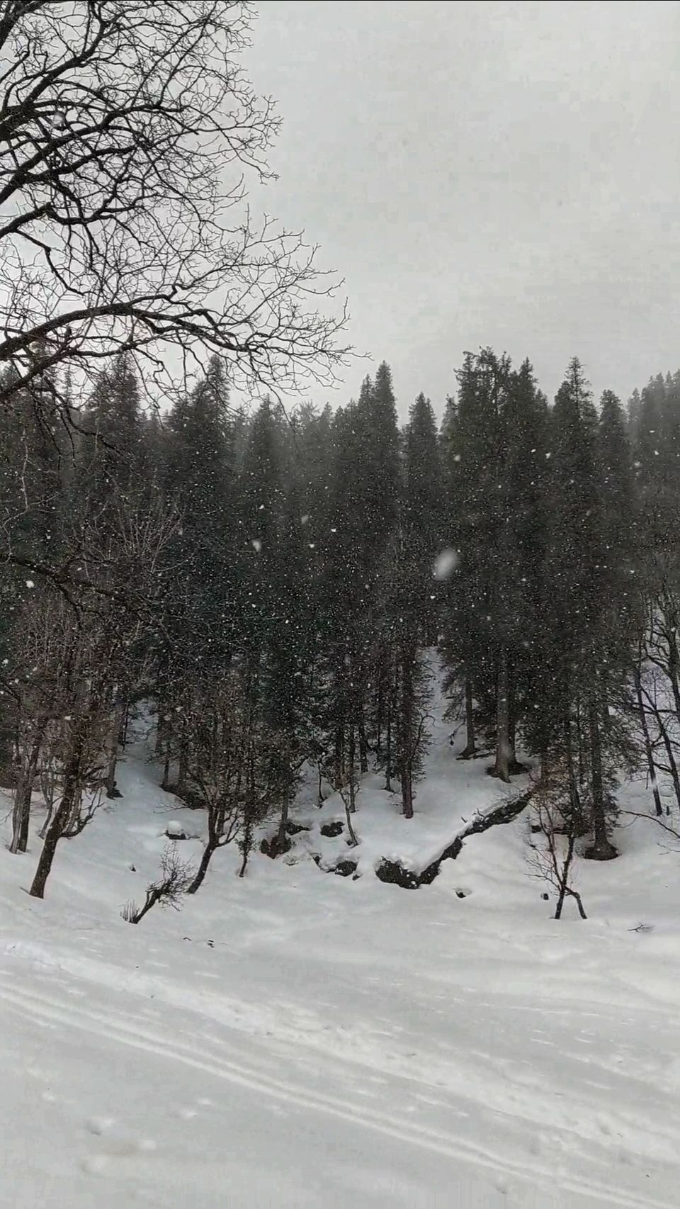 Photo of Trek to Snowy Peaks of Kedarkantha by Peppy Tooth