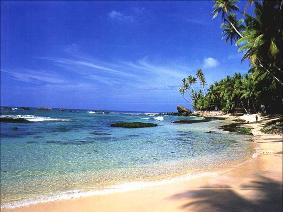 Photo of A Travel Guide for Sri Lanka 3/4 by Kaifulwara Sheikh
