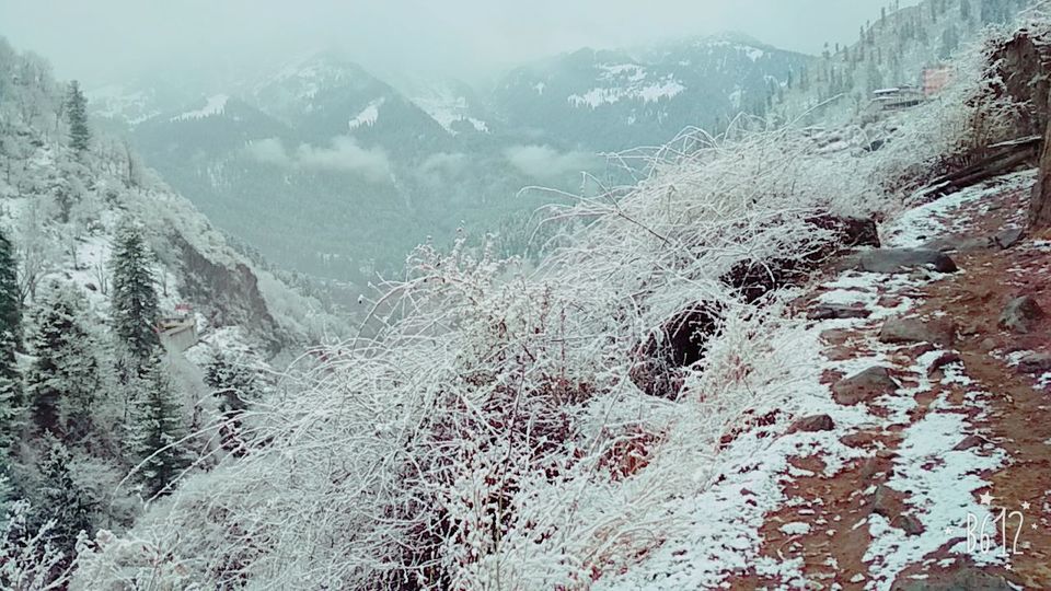Photo of Tosh, Himachal Pradesh, India by Ashish Sharma