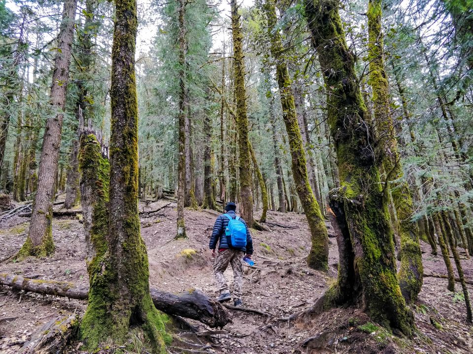 Photo of Kedarkantha trek - The Winter Expedition by Hiking singh