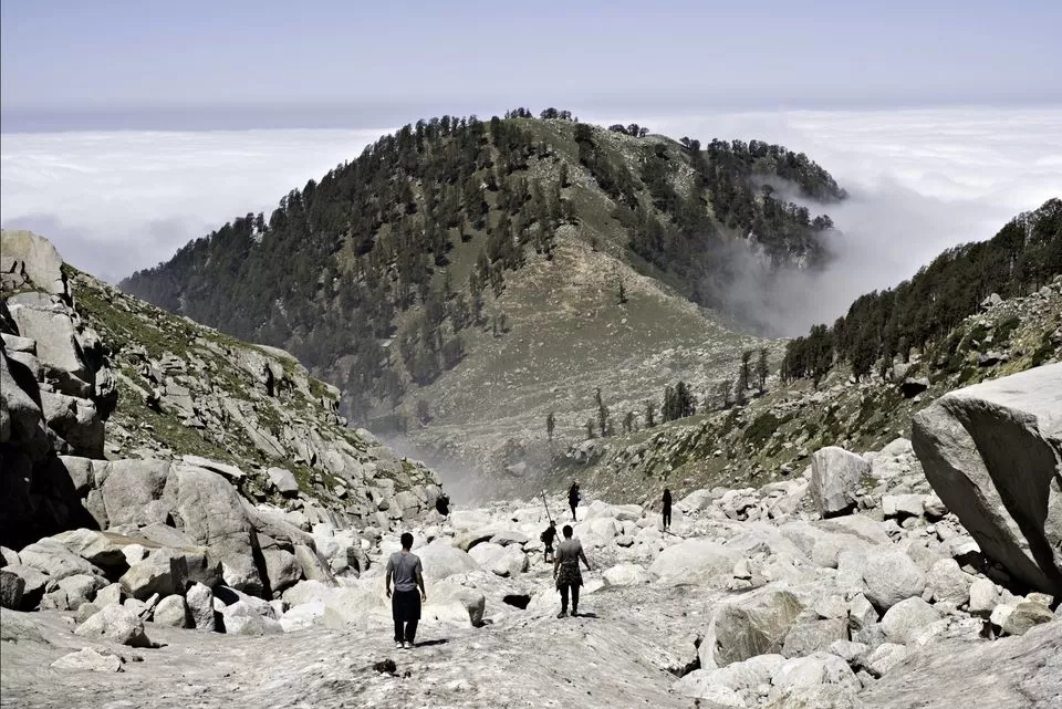 Photo of Laka Glacier, Illaqa, Himachal Pradesh, India by Milan 