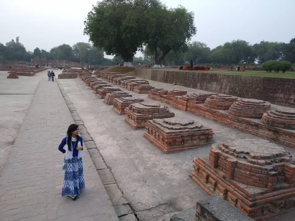 Photo of Sarnath, Varanasi, Uttar Pradesh, India by Milan 