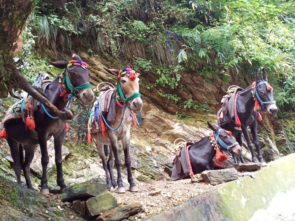 Photo of Gauri Kund - Kedarnath Trekking Way, Kedarnath, Uttarakhand, India by Milan