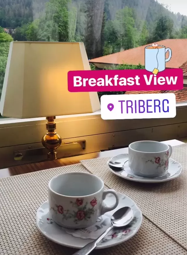 Photo of Ketterer am Kurgarten, Friedrichstraße, Triberg, Germany by The Trunk Travellers