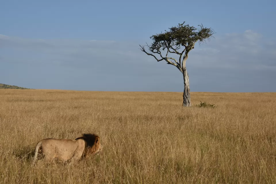Photo of Kenya by The Trunk Travellers