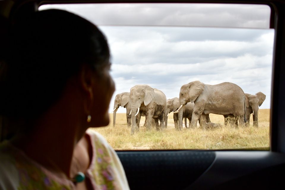 Photo of Best of Kenya Safari- 8 Day Itinerary by The Trunk Travellers