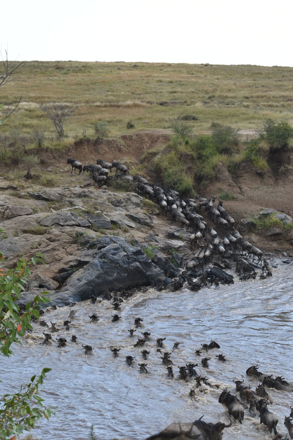 Photo of Maasai Mara National Reserve, Kenya by The Trunk Travellers