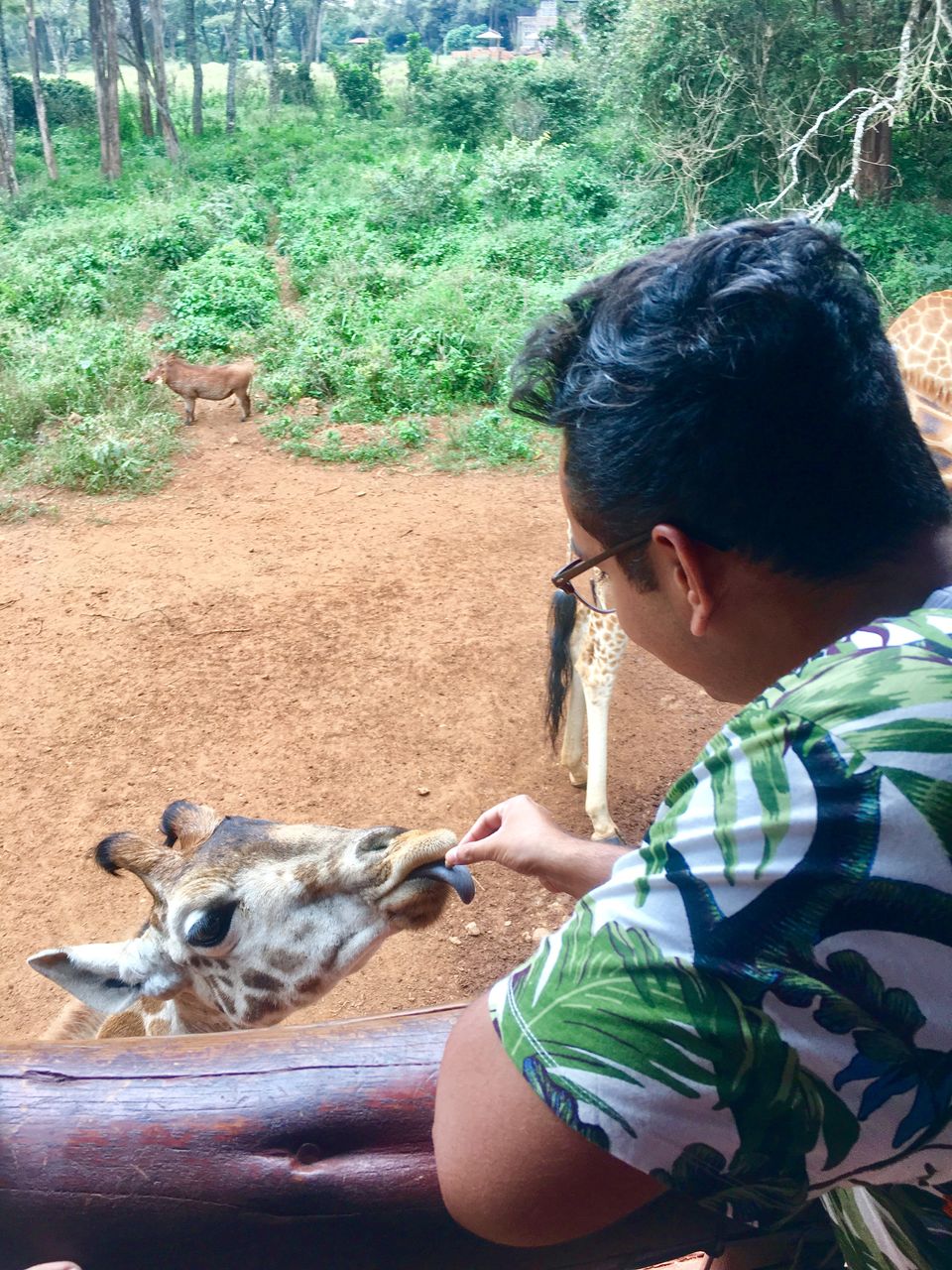 Photo of Giraffe Centre, Duma Road, Nairobi, Kenya by The Trunk Travellers