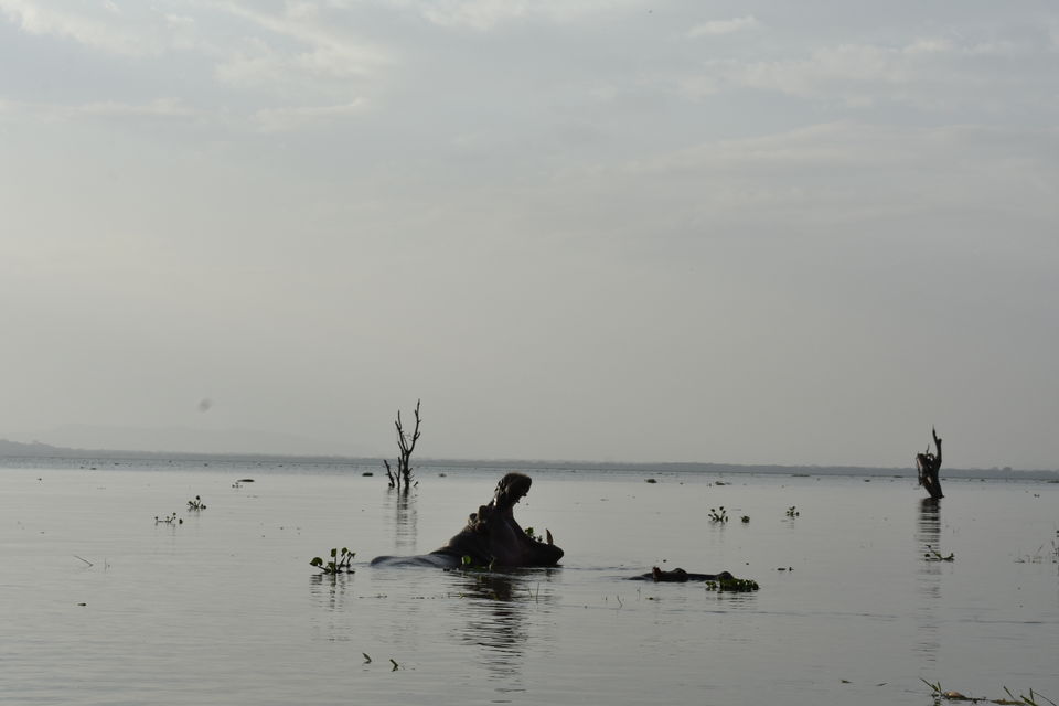 Photo of Best of Kenya Safari- 8 Day Itinerary by The Trunk Travellers