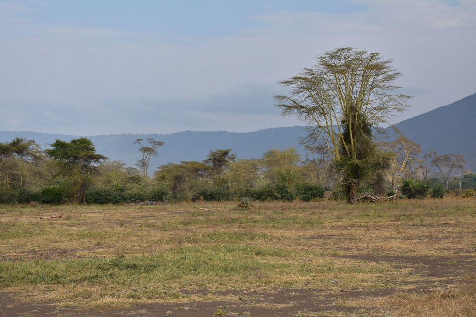 Photo of 5 Things to know before you go to Ngorongoro Crater, Tanzania 4/6 by The Trunk Travellers