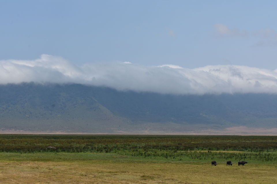 Photo of 5 Things to know before you go to Ngorongoro Crater, Tanzania by The Trunk Travellers