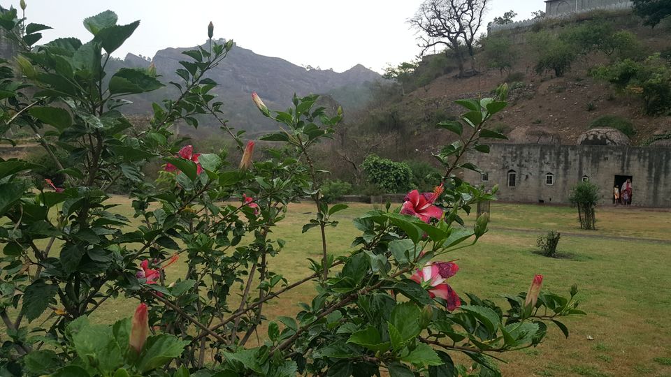 Photo of Kangra, Himachal Pradesh, India by Vartika Jain