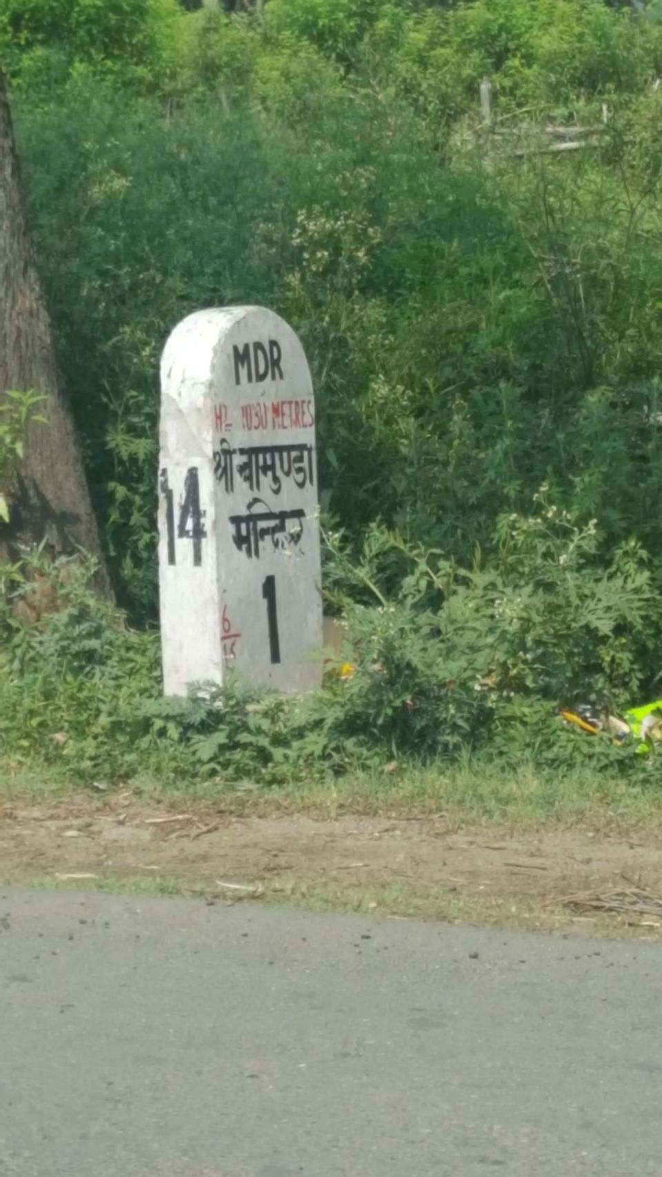 Photo of Kangra, Himachal Pradesh, India by Vartika Jain