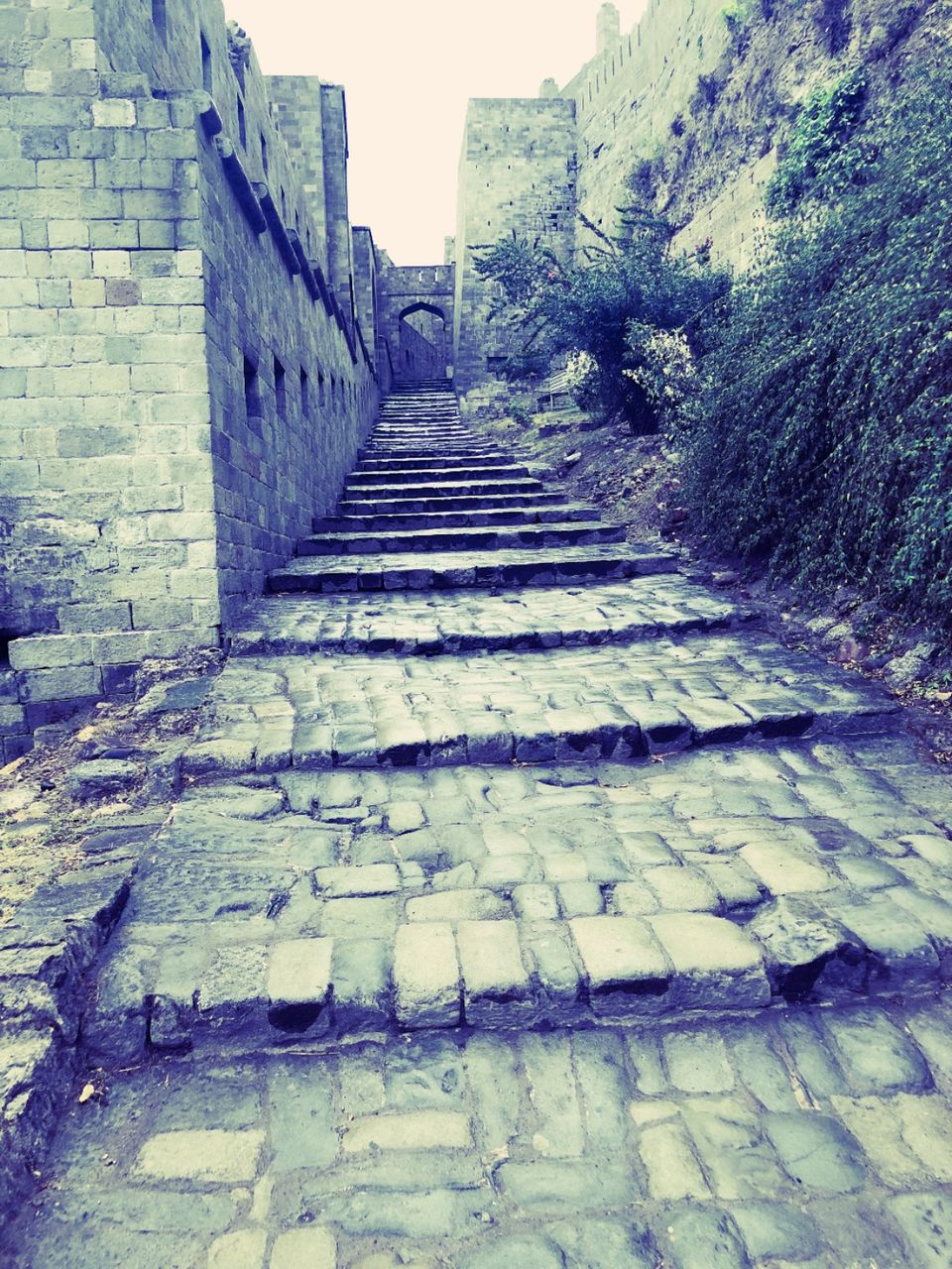 Photo of Kangra, Himachal Pradesh, India by Vartika Jain