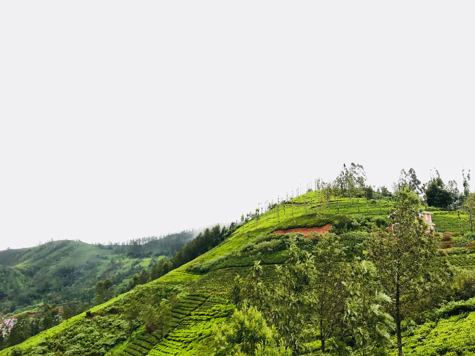 Photo of Trip To Nilgiris by Sahana Shetty