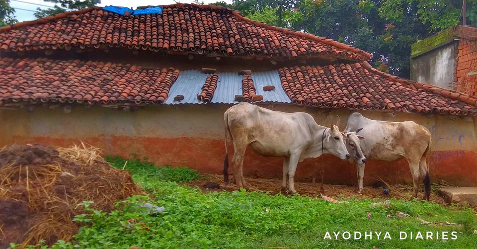 Photo of Barabhum, West Bengal, India by Debadrita Basak