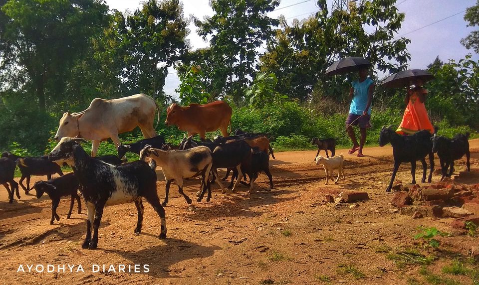 Photo of Barabhum, West Bengal, India by Debadrita Basak