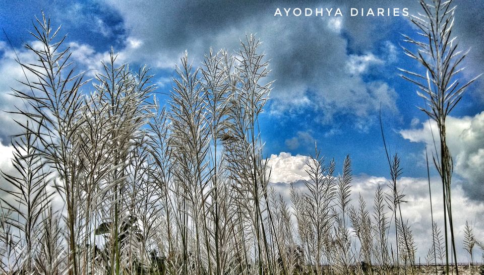 Photo of Barabhum, West Bengal, India by Debadrita Basak