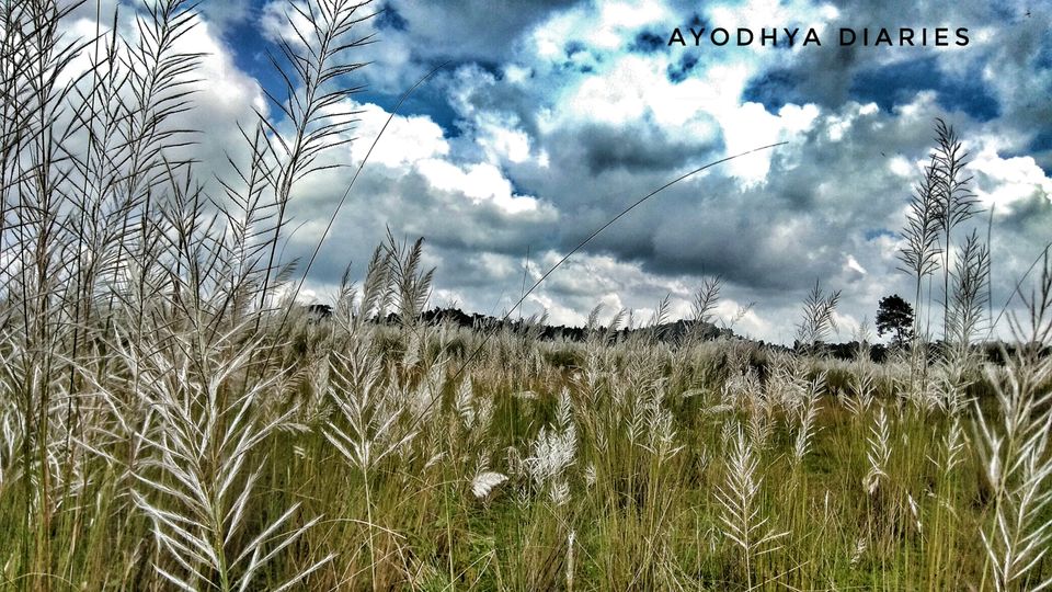 Photo of Barabhum, West Bengal, India by Debadrita Basak