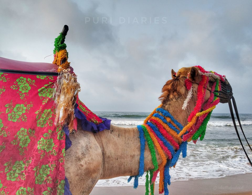 Photo of || the PURI-fied solo || by Debadrita Basak