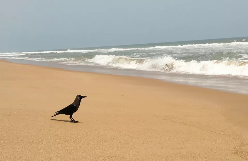 Photo of Balanga, Odisha, India by Debadrita Basak