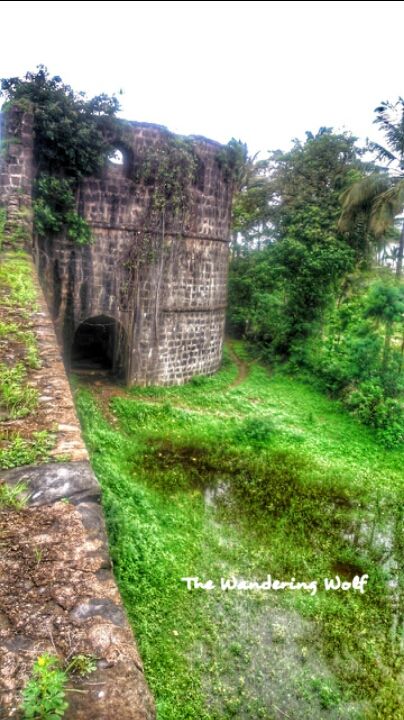 Photo of Arnala Fort, Arnala, Maharashtra, India by The Wandering Wolf