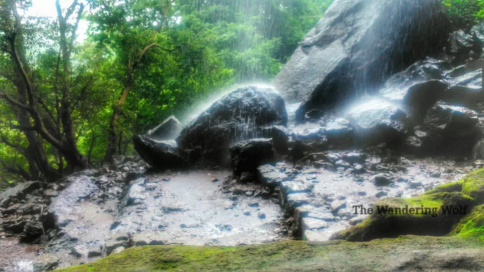 Photo of Kondhana, Kondhana, Maharashtra 442702, India by The Wandering Wolf