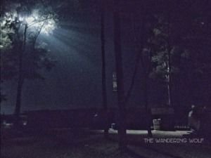 Photo of Daman: Relax and unwind 7/7 by The Wandering Wolf