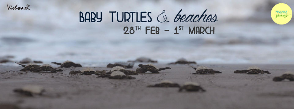 Photo of Velas Turtle Festival 28th Feb & 1st March - with Mapping Journey! 1/2 by Mapping Journeys