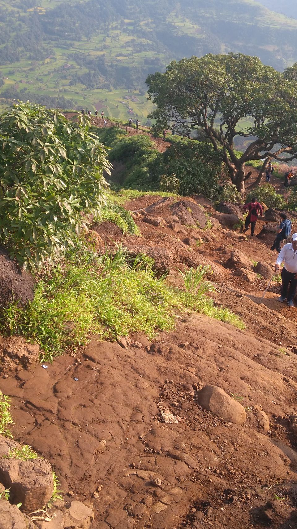 Photo of Trekking through the night, to Mount Kalsubai by Harshit Rakheja