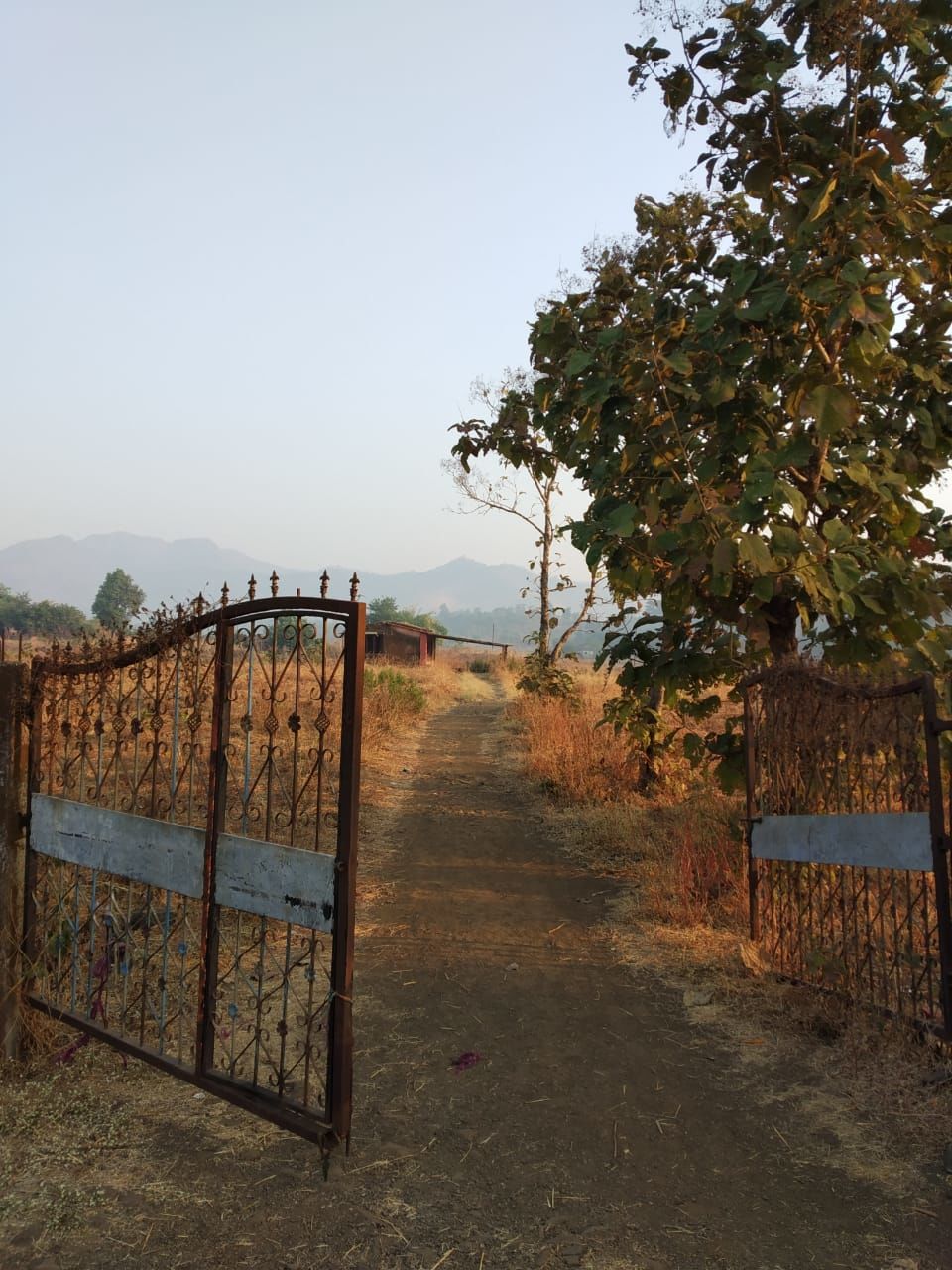 Photo of Trekking to Mahuli fort in the off-season by Harshit Rakheja