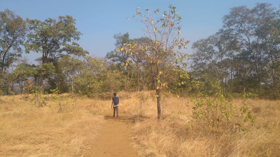 Photo of Trekking to Mahuli fort in the off-season by Harshit Rakheja
