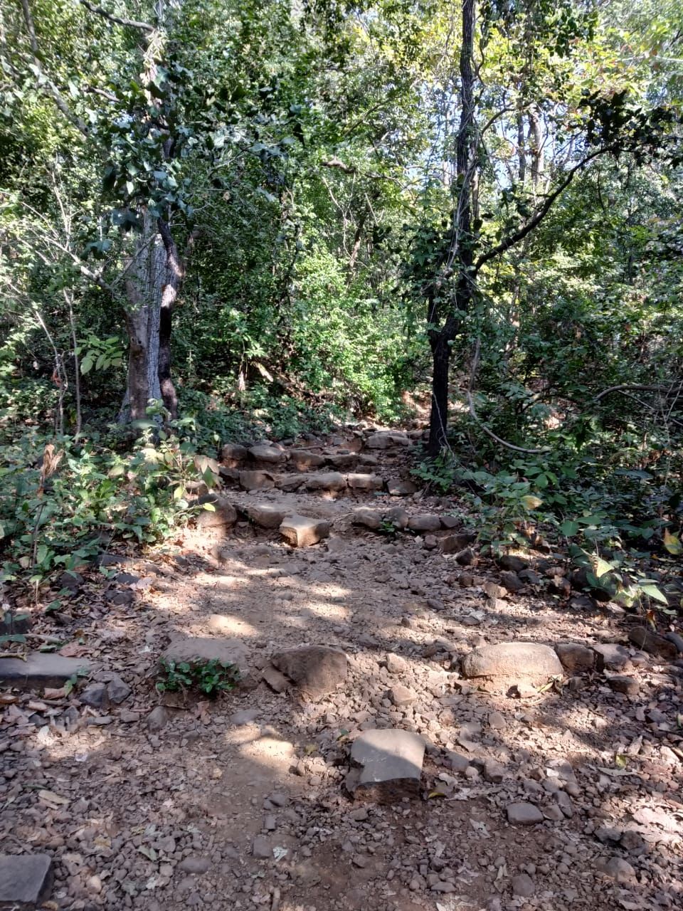 Photo of Trekking to Mahuli fort in the off-season by Harshit Rakheja