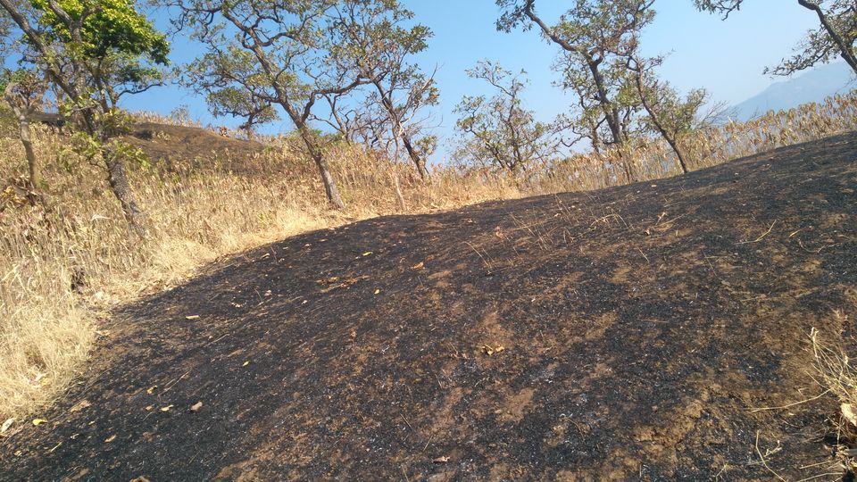 Photo of Trekking to Mahuli fort in the off-season by Harshit Rakheja