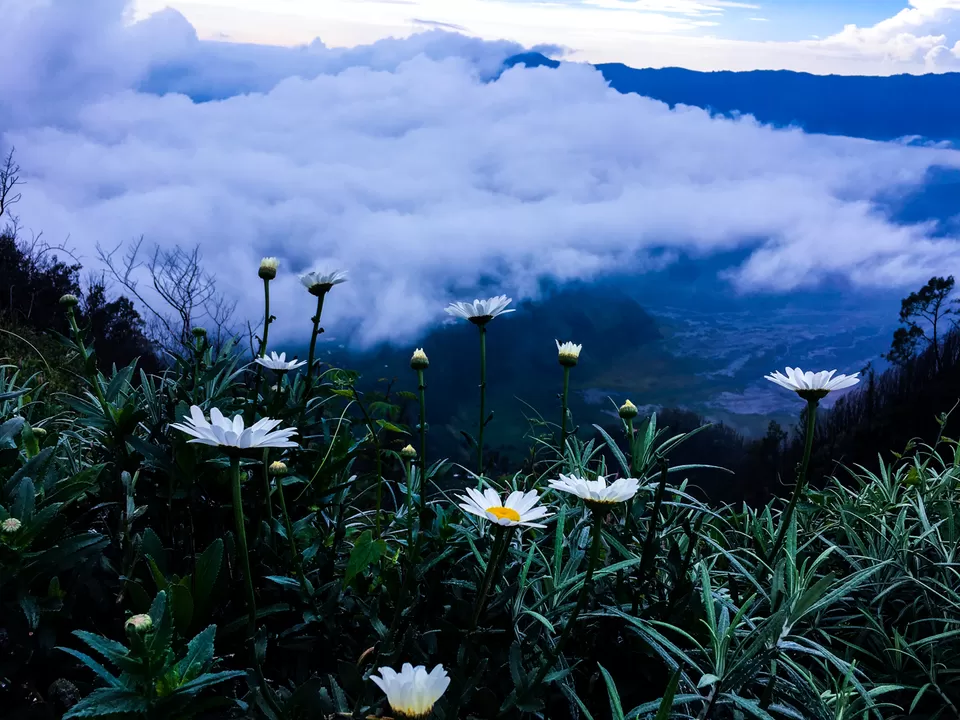Photo of Ijen, East Java, Indonesia by Kunal