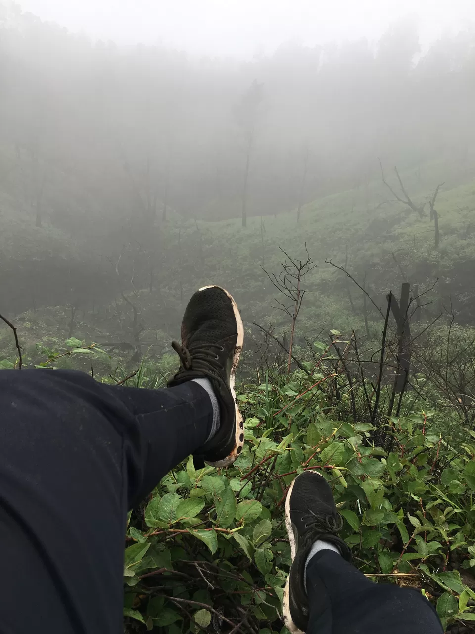 Photo of Blue flames, alien lake and lush greens! My Ijen volcano story.. by Kunal