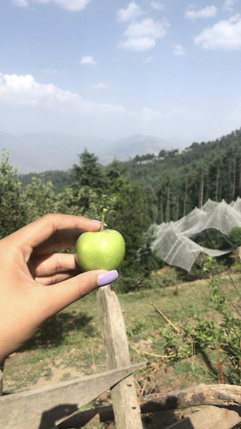 Photo of This summer dedicated to Cheog. 2/5 by Mokshna Jain