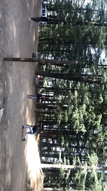Photo of This summer dedicated to Cheog. 3/5 by Mokshna Jain