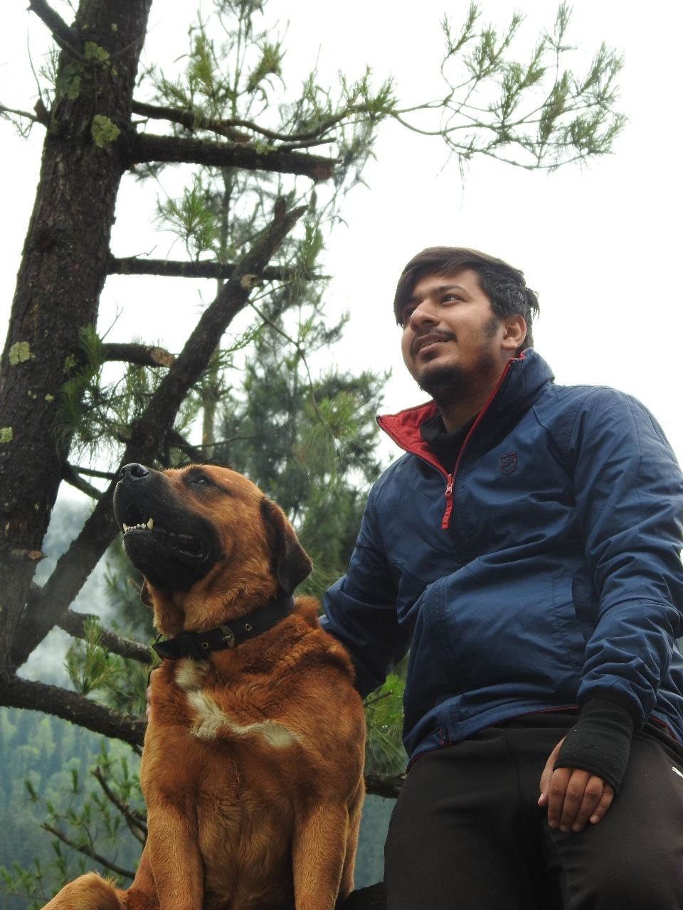Photo of Kheer Ganga Trek, Khir Ganga, Himachal Pradesh, India by Saransh Ramavat