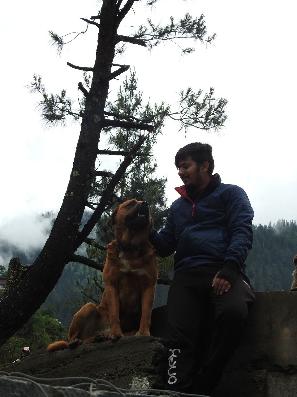 Photo of Kheer Ganga Trek, Khir Ganga, Himachal Pradesh, India by Saransh Ramavat