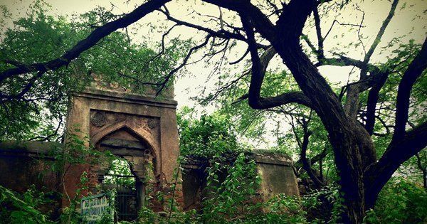 Photo of मालचा महल, Malcha, New Delhi, Delhi, India by Saransh Ramavat