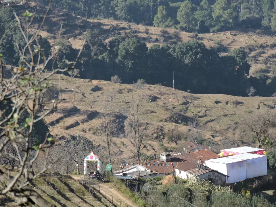Photo of View Of Chaaubatia Garden by Arpit Mehrotra