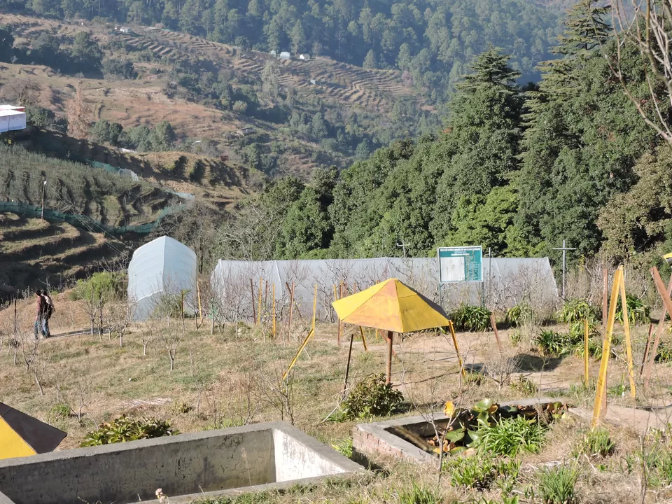 Photo of Geen House In Chaubatia Garden by Arpit Mehrotra