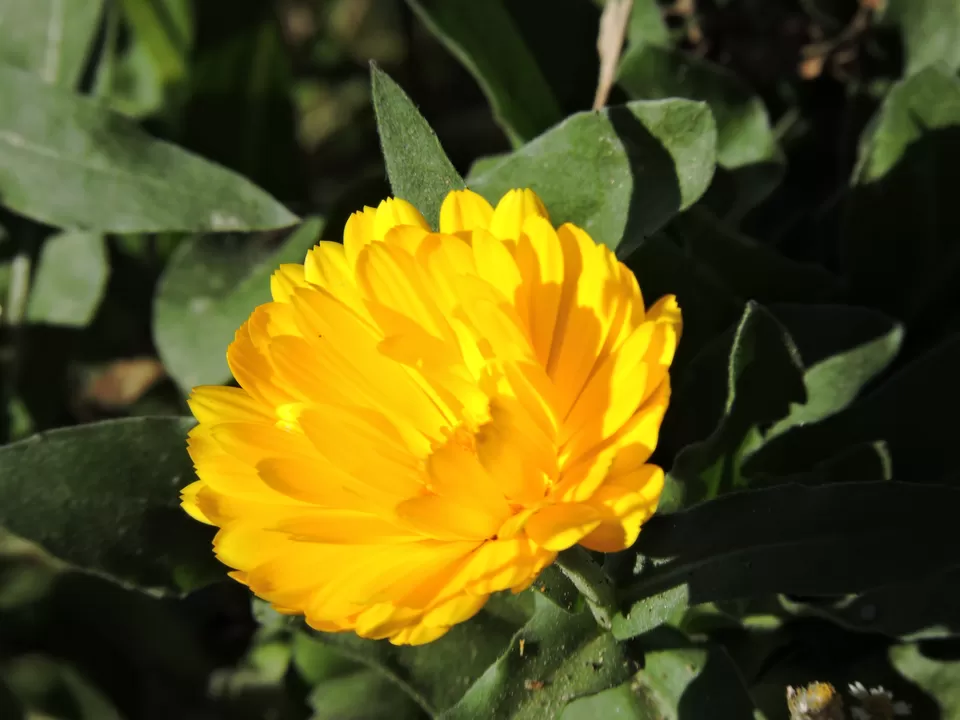 Photo of Randomz by Arpit Mehrotra