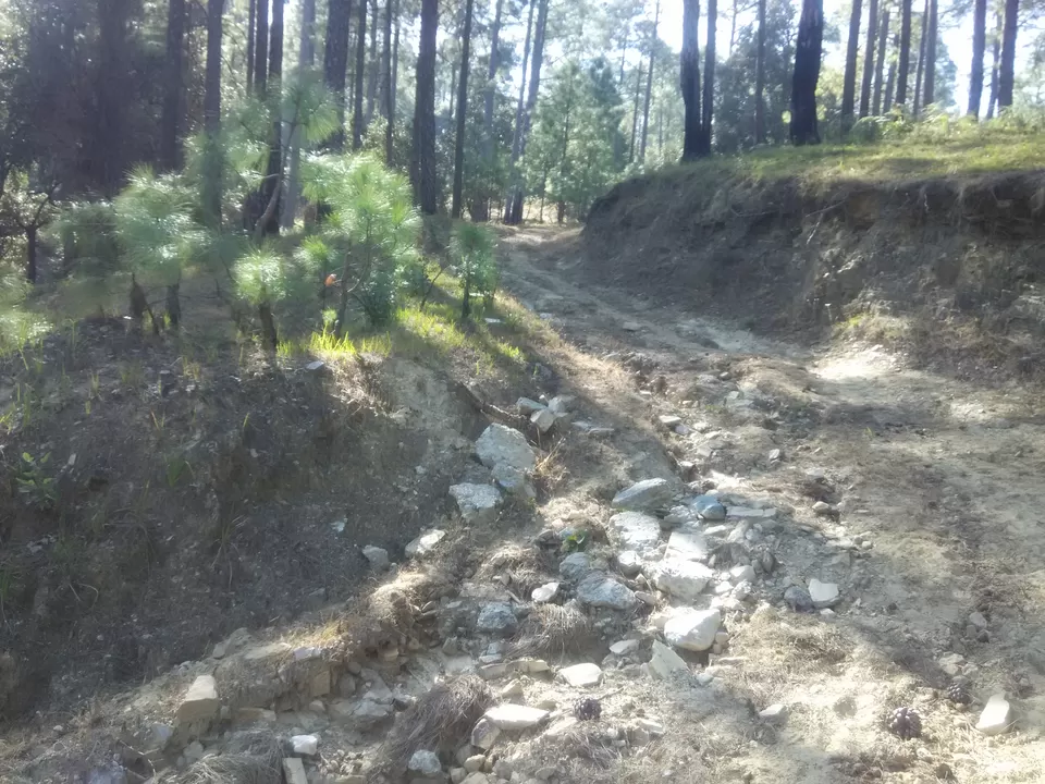 Photo of The road is tricky Sorry its a trek Way & we made it Motarable by Arpit Mehrotra