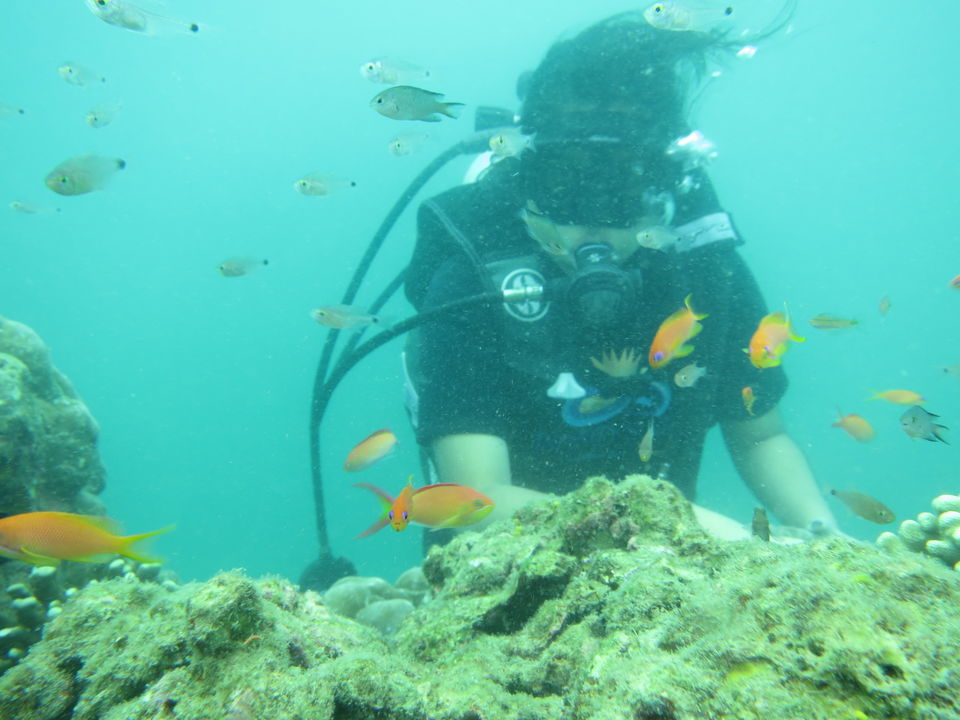 Photo of North Bay Island, Andaman and Nicobar Islands, India by Disha Chatterjee