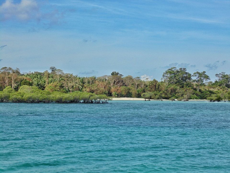 Photo of Island Hopping, Scuba Diving and Digging into the History in Andaman by Disha Chatterjee